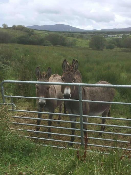 Bumblebee Cottage Donegal Town Luaran gambar